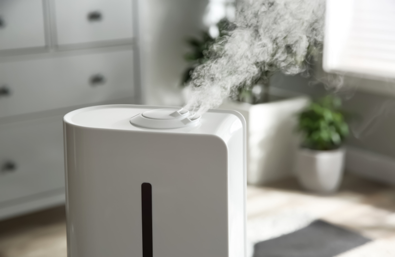 Do Humidifiers Cause Mold? Myths & Facts Explained - Russell Heating & Air