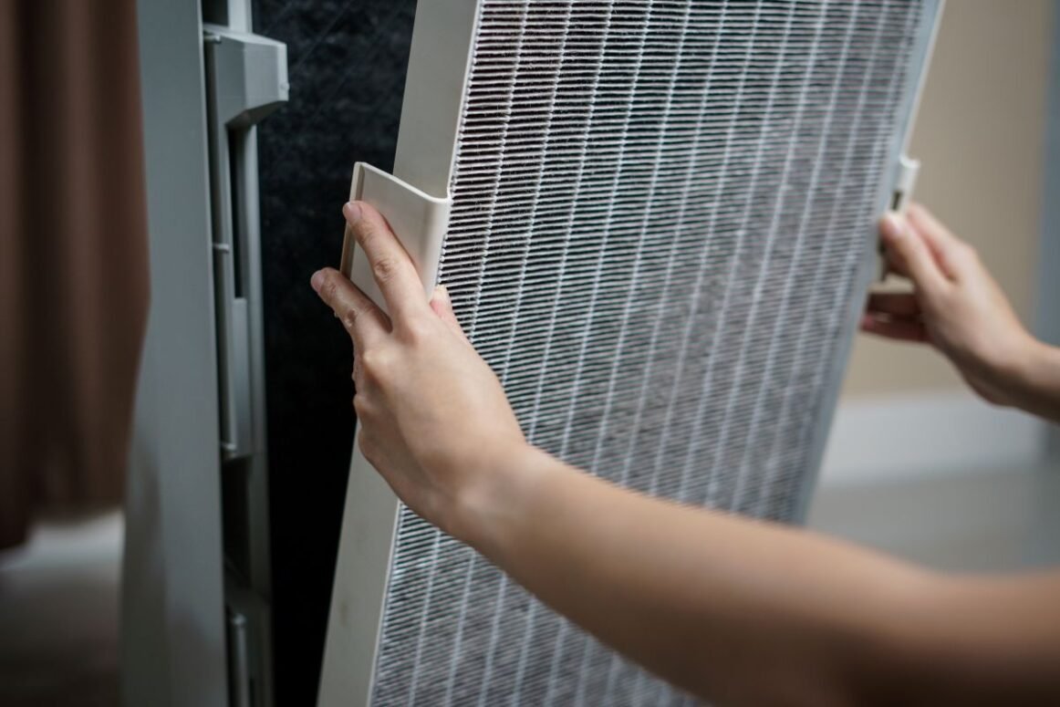 what is an air purifier good for woman removing dust from vent